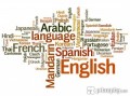 Օտար լեզուների միասնական քննության II փուլի թեստերն ու դրանց պատասխանները